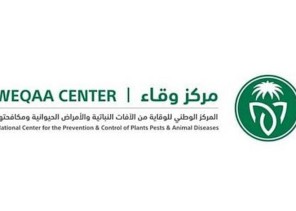 مركز وقاء ينفذ حملة لتحصين الماشية ضد مرض الحمى القلاعية في الحدود الشمالية خلال الـ 3 أشهر الماضية