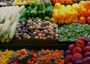 اختتام فعاليات مهرجان تسويق المنتجات الزراعية الأول بمحافظة “القريات