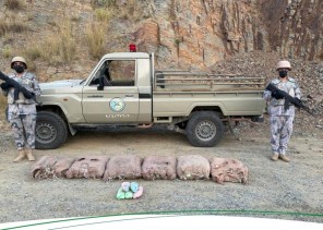 حرس الحدود بجازان يحبط تهريب (93) كيلوجرامًا من نبات القات المخدر