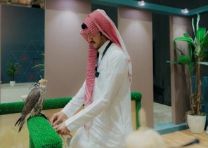 مزرعة (special falcons) الألمانية تبيعُ كلَّ صقورِها في المزاد الدولي لمزارع إنتاج الصقور