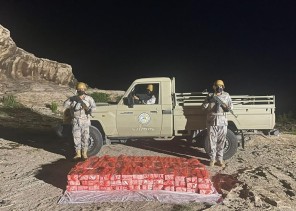 حرس الحدود يحبط محاولات تهريب أكثر من (39) طنًا من نبات القات المخدر و(837) كيلوجرامًا من مادة الحشيش