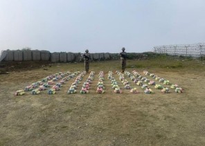 حرس الحدود يحبط محاولات تهريب 29 طنًا من نبات القات المخدر و421 كيلوجرامًا من مادة الحشيش المخدر