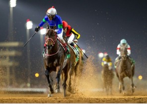 نادي سباقات الخيل يعلن عن حزمة من الترقيات لسباقات موسم الرياض 2023-2024، وكأس السعودية 2024