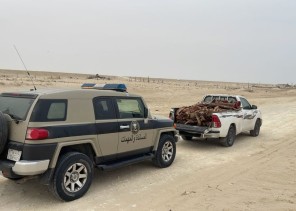 دوريات المجاهدين بالمنطقة الشرقية تضبط مخالفًا لنظام البيئة