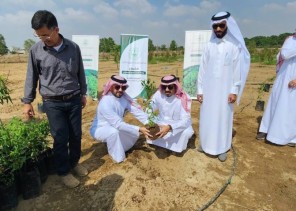 محافظ بيش يستكمل المرحلة الثانية لزراعة أشجار العود والصندل بالمحافظة