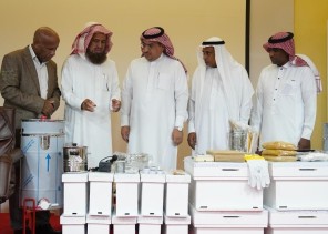 “البيئة والفاو “تنظمان برنامجًا تدريبيًا عن الممارسات الجيده لتربية نحل العسل بجازان ..