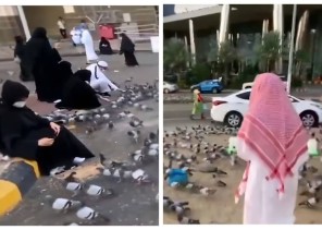 بالفيديو: «متحدث أمانة مكة» يكشف قيمة مخالفة إلقاء الأطعمة للحمام والحيوانات على الأرصفة