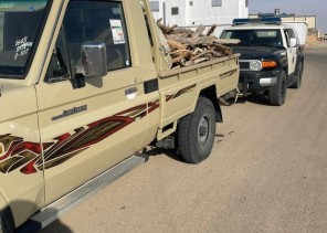 دوريات الأمن بمنطقة الجوف تضبط مخالفًا لنظام البيئة