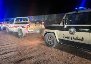 ضبط مخالفين لنظام البيئة بحوزتهما حطب محلي معروض للبيع في حائل