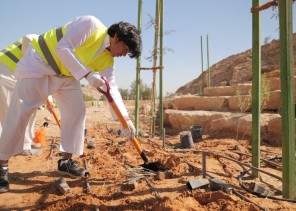 “الرياض الخضراء” يشجر شعيب غذوانة بمناسبة اليوم السعودي والعالمي للتطوع