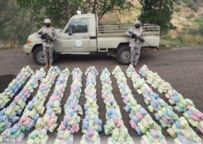 حرس الحدود بعسير يحبط تهريب (140) كيلوجرامًا من نبات القات المخدر