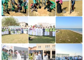 بلدية القطيف: تشجير ١٦ موقعًا في مدن وبلدات القطيف بزراعة أكثر من 9 آلاف شجرة ضمن المرحلة الأولى لمبادرة “مساحة خضراء”