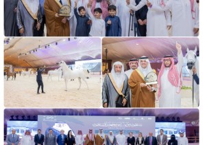 سمو محافظ الأحساء يتوج الفائزين بجمال الخيل العربية الأصيلة