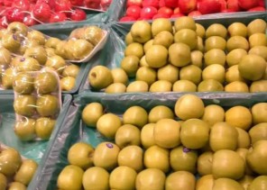 بر جازان تطلق توزيع أكثر من 1000 بطاقة تموينية على مستفيديها