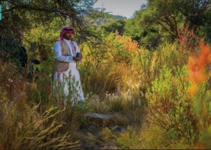 تحديد 27 مارس يوماً لمبادرة السعودية الخضراء بهدف التوعية بجهود العمل البيئي وتعزيز الاستدامة