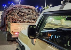 شرطة محافظة طبرجل بمنطقة الجوف تضبط مخالفًا لنظام البيئة