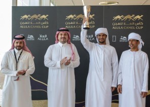 25.6 مليون ريال قيمة جوائز اليوم الثاني السعودية “العلا” .. تفتتح أشواط كاس العلا للهجن