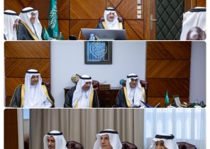 أمير الشرقية يطلع على مبادرة تنموية تواكب مقومات المنطقة