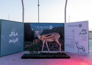 انطلاق مهرجان محمية الملك سلمان بن عبدالعزيز الملكية وسط اقبال كبير من الزوار