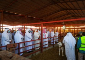 الوكيل المساعد للثروة الحيوانية يزور جمعية ثروة للتنمية الحيوانية بالرياض