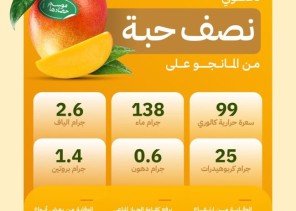 “البيئة”: فوائد صحية عديدة للمانجو.. وكل نصف حبة يحتوي على 99 سعرة حرارية و138 جرام من الماء
