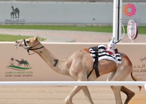 “الرخامية” تكسب التوقيت الأفضل في افتتاح منافسات “الحقايق”