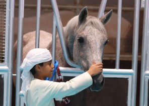 معرض أبوظبي الدولي للصيد والفروسية يدشن نسخته الرابعة من مسابقة ركوب الخيل لأصحاب الهمم