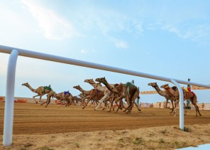 مهرجان ولي العهد بالطائف يختتم مرحلته التمهيدية