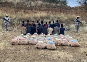 حرس الحدود يحبط محاولة تهريب 1.3طن من مادة الحشيش المخدر و 1.3 مليون قرص خاضع لتنظيم التداول الطبي