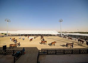 الخميس .. انطلاق الأسبوع الثاني من “قفز السعودية”