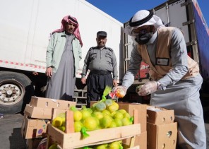 فرع البيئة بتبوك يضبط أكثر من 1200 كيلو من المنتجات الزراعية الفاسدة في السوق المركزي