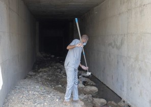 فرق أمانة الطائف تعالج 574 مستنقعاً وبركة مائية لاحتواء المهددات البيئية