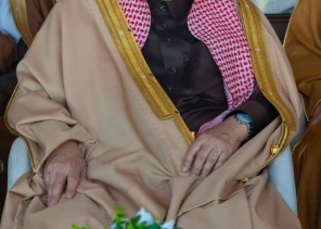 أكثر من “ربع مليار” القيمة السوقية للهجن المشاركة في مهرجان خادم الحرمين الشريفين