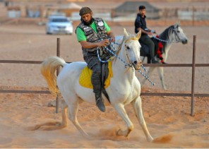 هواة ركوب الخيل يستعرضون مهاراتهم على ساحل جدة