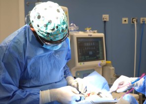 مركز جازي الطبي يحقق نجاحًا في علاج أسنان طفلين من “ذوي التوحد”