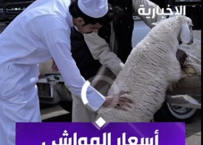 بالفيديو: ارتفاع أسعار الذبائح في سوق المواشي يثير شكوى الزبائن مع دخول رمضان.. وأحد الباعة القدامى يكشف الأسباب