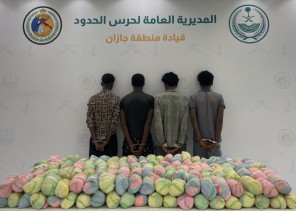 حرس الحدود بجازان يقبض على 4 مخالفين بحوزتهم 144 كجم من القات المخدر ويكشف عن جنسياتهم