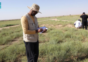 “كاكست” تواصل دورها الريادي في دعم الاستدامة وتحقيق أهداف السعودية الخضراء