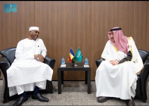 نائب وزير الخارجية السعودي يلتقي وزير الشؤون الخارجية التشادي على هامش منتدى أنطاليا
