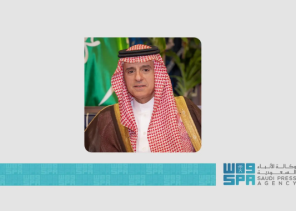 بتوجيه من القيادة… وزير الدولة للشؤون الخارجية يزور الهند وباكستان لتهدئة التصعيد العسكري