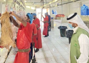 للتحقق من وجود الاشتراطات الصحية.. «البيئة» تنفذ جولات رقابية مكثفة على المسالخ بمحافظة رفحاء