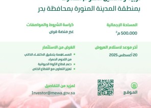 «البيئة» تطرح فرصة استثمارية لتسمين اللحوم الحمراء على مساحة 500 ألف م² بمحافظة بدر