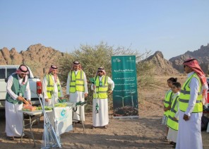 مبادرة بيئية لتنمية الغطاء النباتي في حائل