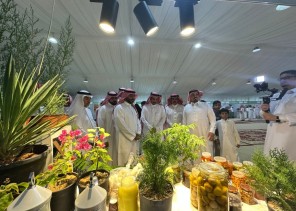 بالفيديو: مهرجان الفواكه الرابع في طبرجل: احتفاء بالنوادر الزراعية وصوت المزارع يصل للجمهور