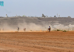 سباق الخيل الثاني في العقيق يشهد حضورًا رسميًا وتنافسًا قويًا بين الجياد المحلية والعربية