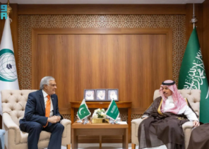 وزير الخارجية يبحث مع نظيره الباكستاني تطورات غزة والعلاقات الثنائية على هامش اجتماع التعاون الإسلامي بجدة