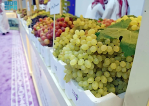 “مكتب الزراعة بالحناكية” يشارك في مهرجان العنب الأول للتعريف بالإنتاج المحلي ودعم المزارعين