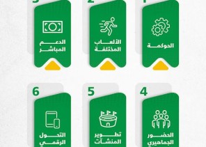 «وزارة الرياضة» تطلق استراتيجية شاملة لدعم الأندية ورفع كفاءتها الإدارية والمالية