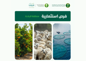 البيئة تعلن عن 4 فرص استثمارية زراعية وسمكية في الباحة لتعزيز الأمن الغذائي وتحقيق الاكتفاء الذاتي