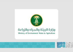 وزارة البيئة تطلق ثلاث فرص استثمارية زراعية بمنطقة مكة لتعزيز الأمن الغذائي وتنمية الغطاء النباتي